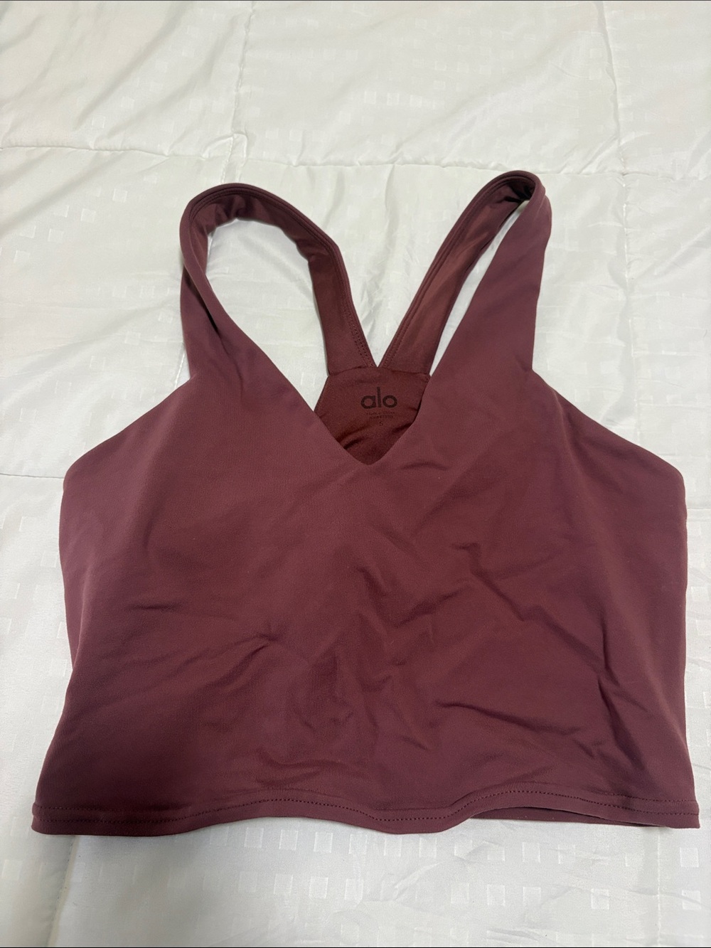 Alo Airbrush Real Bra Tank in Mauve